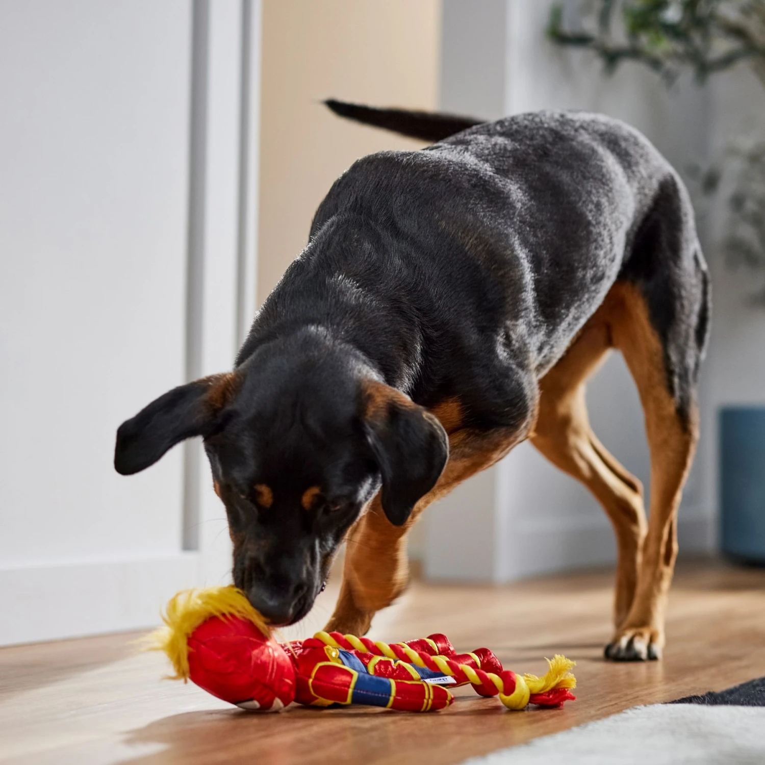 Marvel 's Captain Marvel Plush With Rope Squeaky Dog Toy 3 Marvel 's Captain Marvel Plush With Rope Squeaky Dog Toy - Image 3