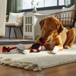 Marvel 's Miles Morales & Ghost Spider Plush With Rope Squeaky Dog Toy -PetSafe Kong Shop 328785 PT3. AC SS1800 V1659031888