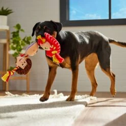 Pixar Toy Story's Woody, Jessie, & Buzz Lightyear Plush With Rope Squeaky Dog Toy 5 Pixar Toy Story's Woody, Jessie, & Buzz Lightyear Plush With Rope Squeaky Dog Toy -PetSafe Kong Shop 328793 PT3. AC SS1800 V1659032093