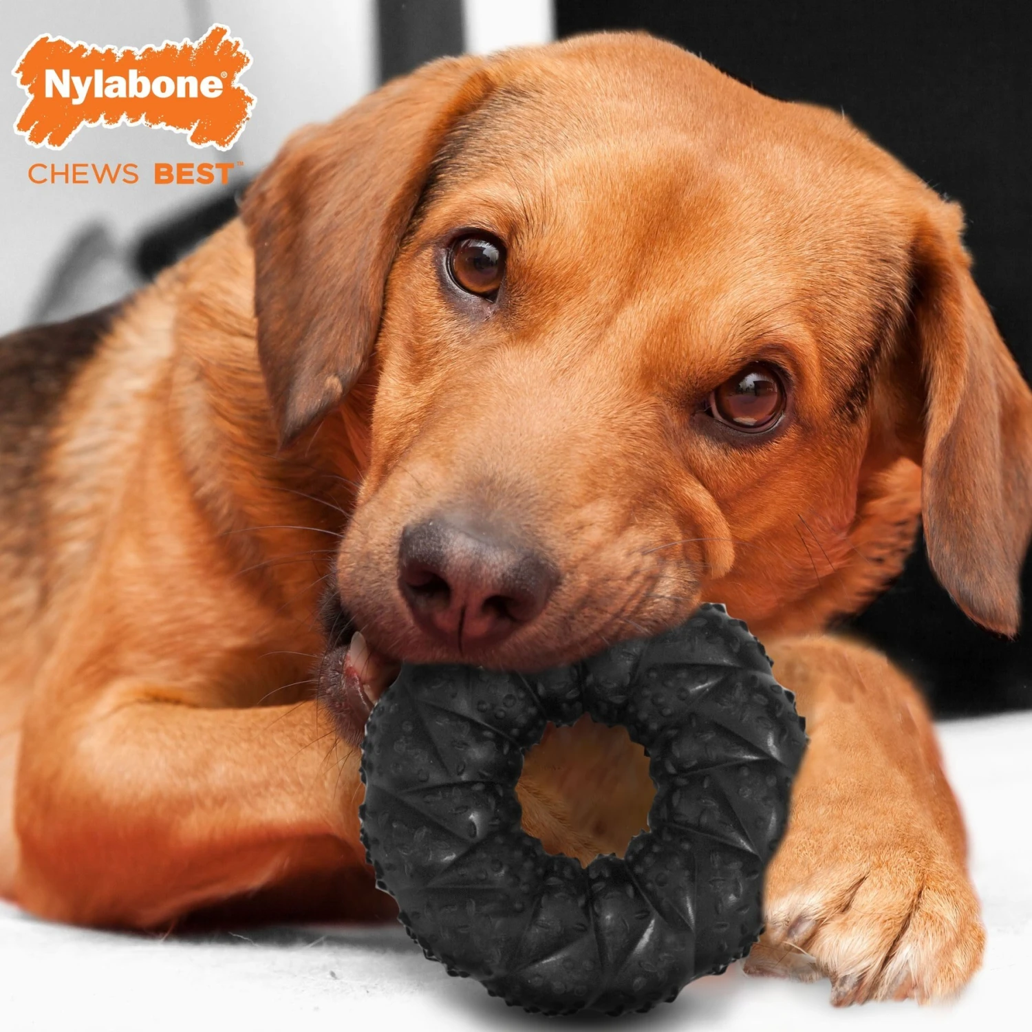 Nylabone Strong MAX Braided Dog Ring Chew Toy Beef 2 Nylabone Strong MAX Braided Dog Ring Chew Toy Beef - Image 2