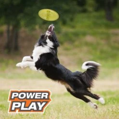 Nylabone Power Play Ultra Glider Gripz Flying Disc Dog Toy 10 Nylabone Power Play Ultra Glider Gripz Flying Disc Dog Toy -PetSafe Kong Shop 329497 PT1. AC SS1800 V1658840284
