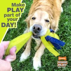 Nylabone Power Play Ultra Glider Gripz Flying Disc Dog Toy 12 Nylabone Power Play Ultra Glider Gripz Flying Disc Dog Toy -PetSafe Kong Shop 329497 PT3. AC SS1800 V1658884707