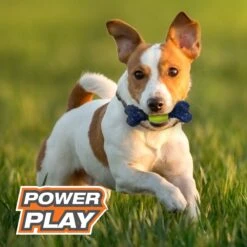 Nylabone Power Play Tennis Play 'n Fetch Interactive Dog Toy 13 Nylabone Power Play Tennis Play 'n Fetch Interactive Dog Toy -PetSafe Kong Shop 329499 PT4. AC SS1800 V1685647808