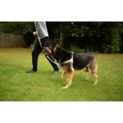 Doggy Tales Realtree Step In V Dog Harness -PetSafe Kong Shop 329767 PT3. AC SS1800 V1633391217