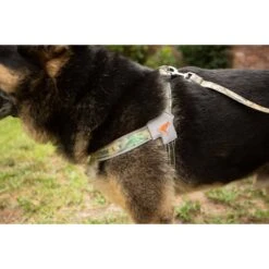 Doggy Tales Realtree Step In V Dog Harness -PetSafe Kong Shop 329767 PT4. AC SS1800 V1633397246