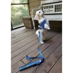 Doggy Tales Patented Realtree Hart Dog Harness 10 Doggy Tales Patented Realtree Hart Dog Harness -PetSafe Kong Shop 329819 PT3. AC SS1800 V1633396609