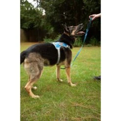 Doggy Tales Patented Realtree Hart Dog Harness 11 Doggy Tales Patented Realtree Hart Dog Harness -PetSafe Kong Shop 329819 PT4. AC SS1800 V1633396065