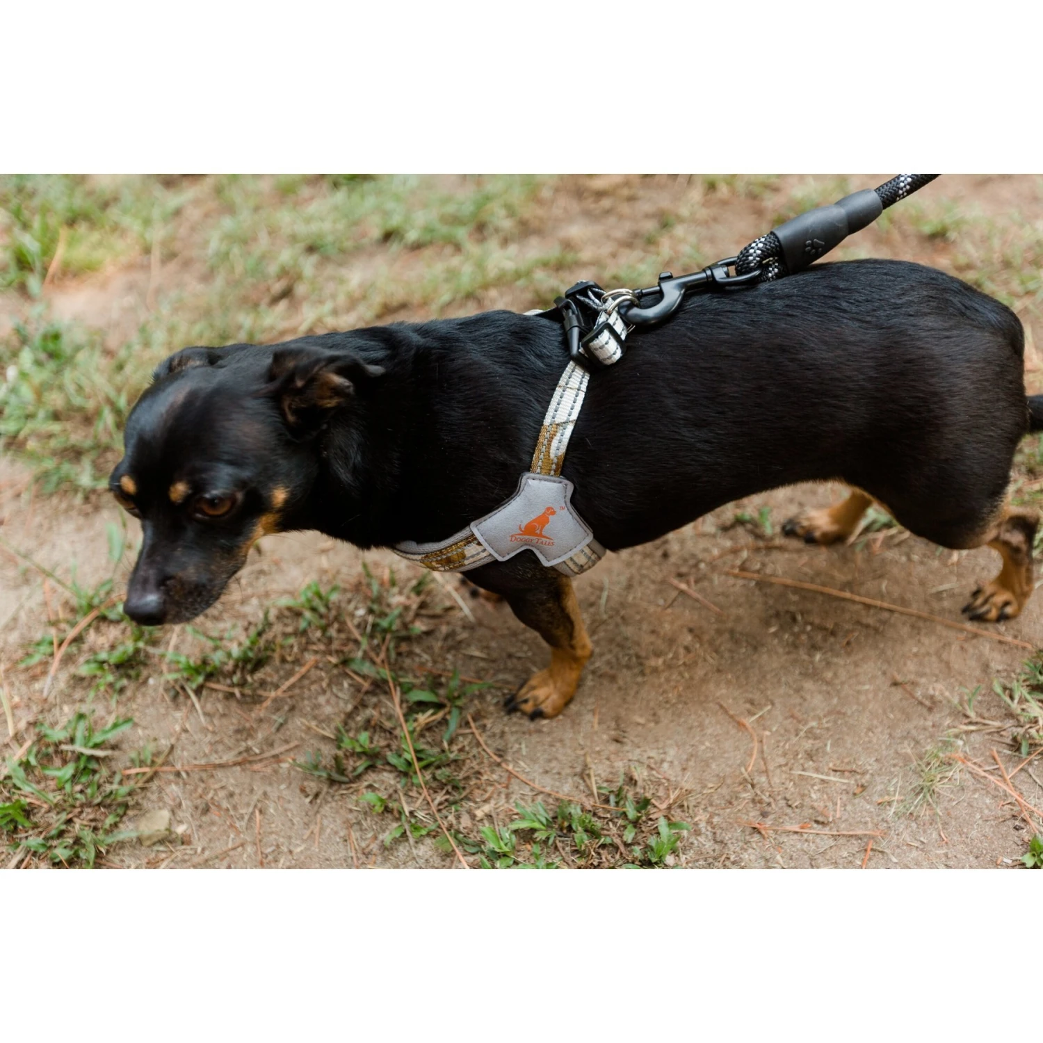 Doggy Tales Braided Rope Dog Leash, 5-ft Long 5 Doggy Tales Braided Rope Dog Leash, 5-ft Long - Image 5