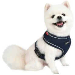 Puppia Soft Pro Dog Harness -PetSafe Kong Shop 329892 PT2. AC SS1800 V1632800805