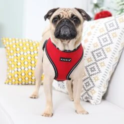 Puppia Trek A Dog Harness 6 Puppia Trek A Dog Harness -PetSafe Kong Shop 329931 PT2. AC SS1800 V1632822397