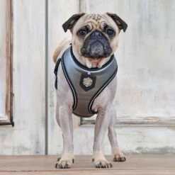 Puppia Legacy A Dog Harness -PetSafe Kong Shop 329940 PT2. AC SS1800 V1632803509