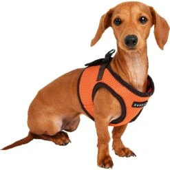 Puppia Soft Vest B Dog Harness -PetSafe Kong Shop 329999 PT3. AC SS1800 V1632823298