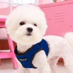 Puppia Trek B Dog Harness -PetSafe Kong Shop 330070 PT2. AC SS1800 V1632805042