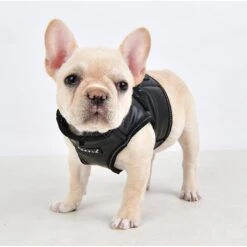 Puppia Legacy B Dog Harness -PetSafe Kong Shop 330084 PT3. AC SS1800 V1632820329