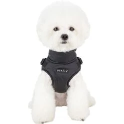 Puppia Mountaineer II Coat Dog Harness -PetSafe Kong Shop 330130 PT2. AC SS1800 V1632803771