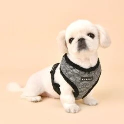 Puppia Gaspar A Dog Harness -PetSafe Kong Shop 330180 PT2. AC SS1800 V1632800785