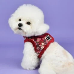 Puppia Gianni B Dog Harness -PetSafe Kong Shop 330190 PT3. AC SS1800 V1632820873