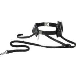 Frisco Outdoor Running Belt With Bungee Dog Leash