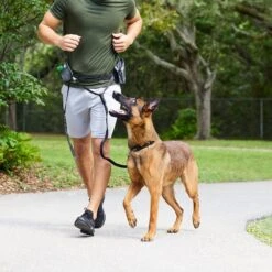 Frisco Outdoor Running Belt With Bungee Dog Leash 12 Frisco Outdoor Running Belt With Bungee Dog Leash -PetSafe Kong Shop 331408 PT6. AC SS1800 V1660078547