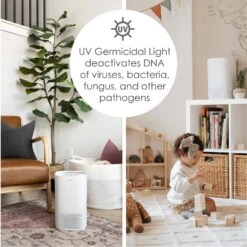 Crane Air Purifier -PetSafe Kong Shop 331617 PT5. AC SS1800 V1694625822