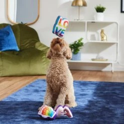 Frisco Pride Symbols Plush Squeaky Dog Toy, 3 Count -PetSafe Kong Shop 331630 PT3. AC SS1800 V1647355798