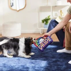 Frisco Pride Rainbow Plush With Rope Squeaky Dog Toy -PetSafe Kong Shop 331653 PT3. AC SS1800 V1647356026