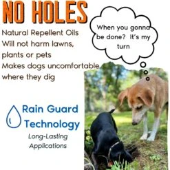 Zone Protects No Holes! Digging Prevention Spray, 32-oz Bottle -PetSafe Kong Shop 333208 PT4. AC SS1800 V1683745066