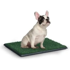 Coziwow By Jaxpety Indoor Grass Portable Pee Turf Dog Potty Trainer Pad