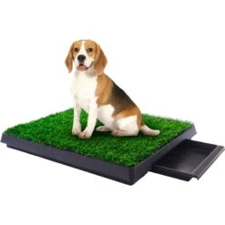 Coziwow By Jaxpety Indoor Grass Potty Dog Pee Turf With Drawer