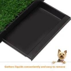 Coziwow By Jaxpety Indoor Grass Potty Dog Pee Turf With Drawer -PetSafe Kong Shop 333361 PT5. AC SS1800 V1685059401