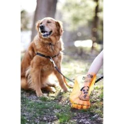 Mighty Paw Earth Friendly Poop Bags, Scented 10 Mighty Paw Earth Friendly Poop Bags, Scented -PetSafe Kong Shop 333534 PT2. AC SS1800 V1633636887