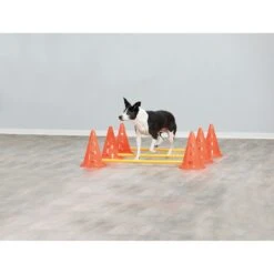 TRIXIE Dog Agility Hurdle Cone Set, Orange/Yellow 10 TRIXIE Dog Agility Hurdle Cone Set, Orange/Yellow -PetSafe Kong Shop 333735 PT2. AC SS1800 V1634079736