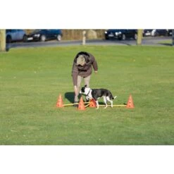 TRIXIE Dog Agility Hurdle Cone Set, Orange/Yellow 15 TRIXIE Dog Agility Hurdle Cone Set, Orange/Yellow -PetSafe Kong Shop 333735 PT7. AC SS1800 V1634085712