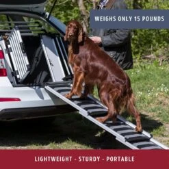 TRIXIE 69-in Heavy Duty Telescoping Dog Ramp, Silver/Black -PetSafe Kong Shop 333754 PT3. AC SS1800 V1634073714