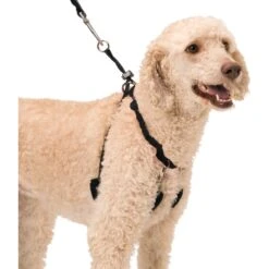 Sporn Original Training Dog Halter