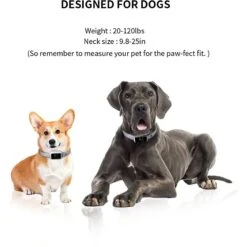 PATPET Smart Anti-Bark Dog Training Collar -PetSafe Kong Shop 335320 PT5. AC SS1800 V1635947180