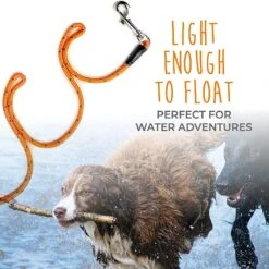 Mighty Paw Check Cord Dog Leash, 30-ft -PetSafe Kong Shop 336083 PT3. AC SS1800 V1634085987