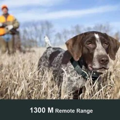 PATPET P920 Outdoor Dedicated 1300M Remote Dog Training Collar -PetSafe Kong Shop 336091 PT2. AC SS1800 V1639787187