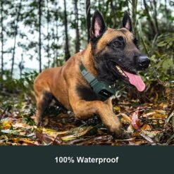 PATPET P920 Outdoor Dedicated 1300M Remote Dog Training Collar -PetSafe Kong Shop 336091 PT4. AC SS1800 V1634566298