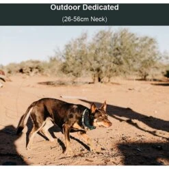 PATPET P920 Outdoor Dedicated 1300M Remote Dog Training Collar -PetSafe Kong Shop 336091 PT5. AC SS1800 V1634566282