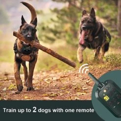 PATPET P920 Outdoor Dedicated 1300M Remote Dog Training Collar -PetSafe Kong Shop 336091 PT6. AC SS1800 V1634566656