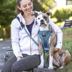 Kurgo Tru-Fit Quick Release & Seatbelt Tether Smart Dog Harness -PetSafe Kong Shop 336383 PT3. AC SS1800 V1634152311