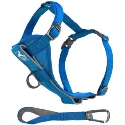 Kurgo Tru-Fit Quick Release & Seatbelt Tether Smart Dog Harness -PetSafe Kong Shop 336383 PT7. AC SS1800 V1634151998