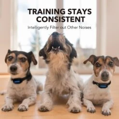 DogCare AB-Collar-11 Dog Bark Control Collar, Small 9 DogCare AB-Collar-11 Dog Bark Control Collar, Small -PetSafe Kong Shop 336440 PT4. AC SS1800 V1637023882