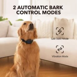 DogCare AB-Collar-12 Dog Bark Control Collar, Small -PetSafe Kong Shop 336442 PT2. AC SS1800 V1637019391