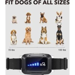 DogCare AB-Collar-12 Dog Bark Control Collar, Small -PetSafe Kong Shop 336442 PT3. AC SS1800 V1637023942