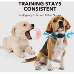 DogCare AB-Collar-12 Dog Bark Control Collar, Small -PetSafe Kong Shop 336442 PT4. AC SS1800 V1637016722