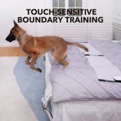 DogCare TM-Mat-11-1 Dog Training Mat, Small -PetSafe Kong Shop 336444 PT2. AC SS1800 V1637000832