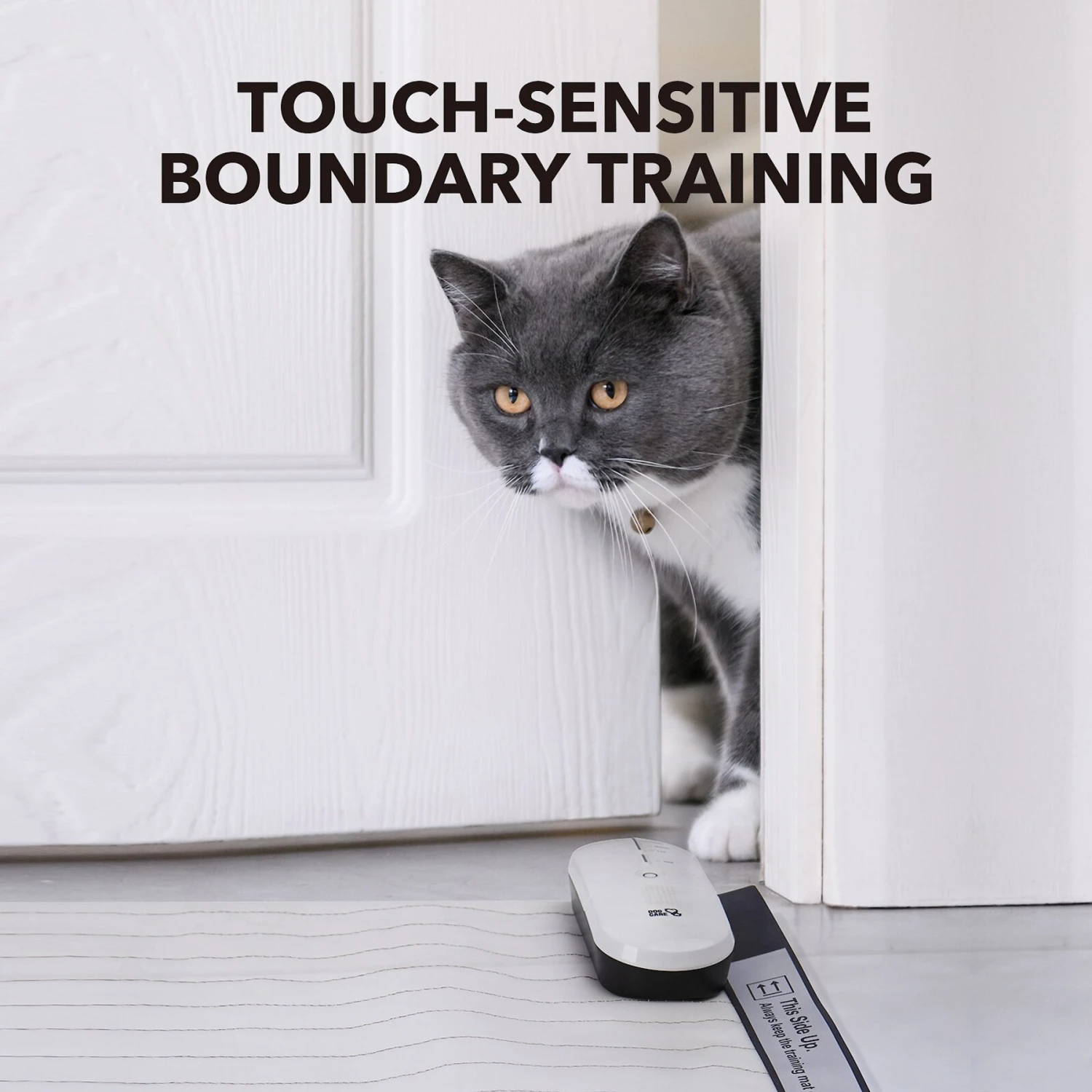 DogCare TM-Mat-11-2 Dog Training Mat, Small 3 DogCare TM-Mat-11-2 Dog Training Mat, Small - Image 3