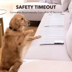 DogCare TM-Mat-11-2 Dog Training Mat, Small 12 DogCare TM-Mat-11-2 Dog Training Mat, Small -PetSafe Kong Shop 336446 PT4. AC SS1800 V1636999882